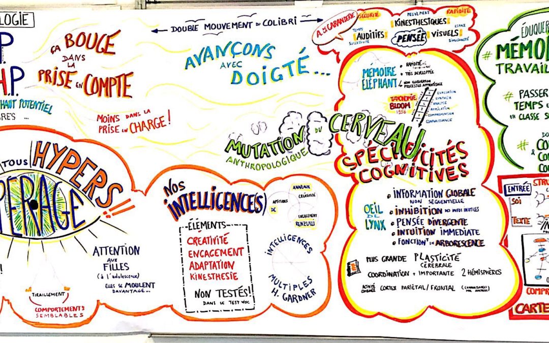 Précocité et pensée visuelle